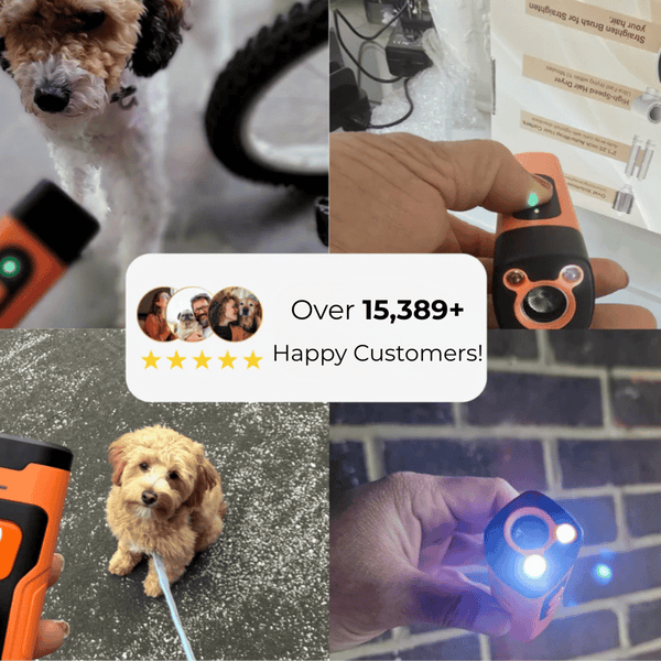 BarkZap™ Pro