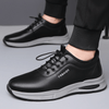 Leatix Comfortable Leather Shoes